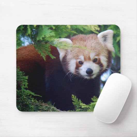 Red Panda Mousepad Muismat (Met muis)