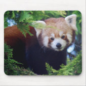 Red Panda Mousepad Muismat (Voorkant)