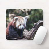 Red Panda Muismat (Met muis)