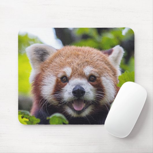 Red Panda Muismat (Met muis)