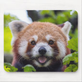 Red Panda Muismat (Voorkant)