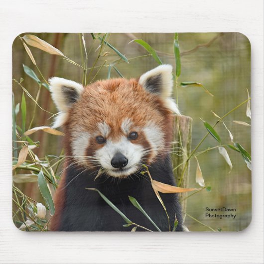 Red Panda Muismat (Voorkant)