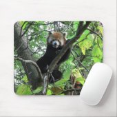 Red Panda Muismat (Met muis)