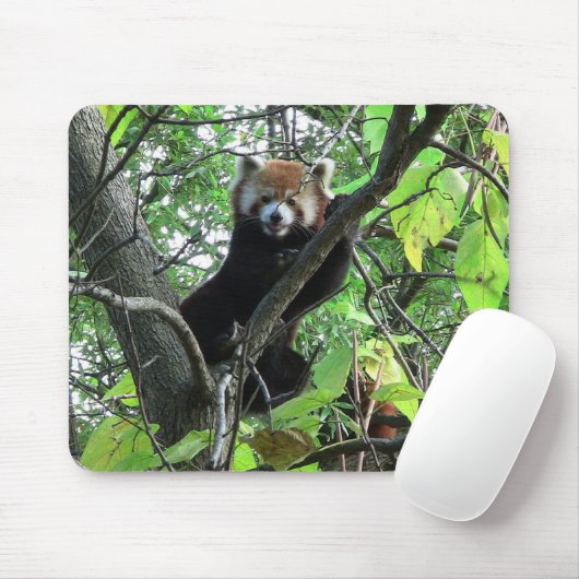 Red Panda Muismat (Met muis)