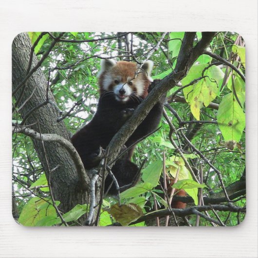 Red Panda Muismat (Voorkant)