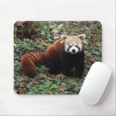 Red Panda Muismat (Met muis)