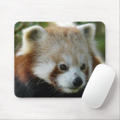Red Panda Muismat (Met muis)