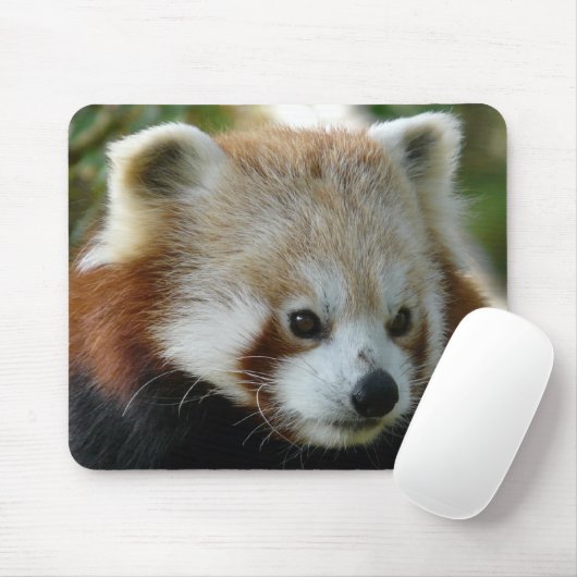 Red Panda Muismat (Met muis)