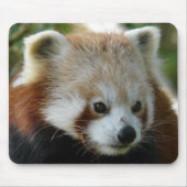 Red Panda Muismat (Voorkant)