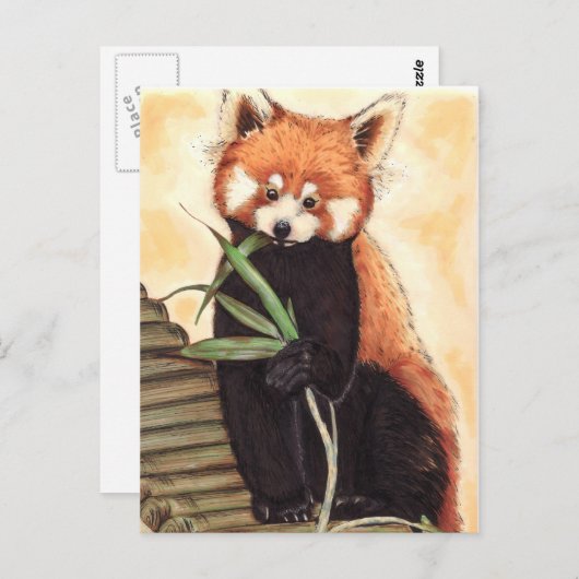 Red Panda Nom Briefkaart (Voorkant / Achterkant)