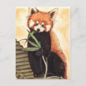 Red Panda Nom Briefkaart (Voorkant)