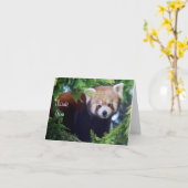 Red Panda Note Kaart (Gele Bloem)