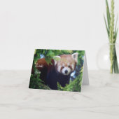 Red Panda Note Kaart (Voorkant)