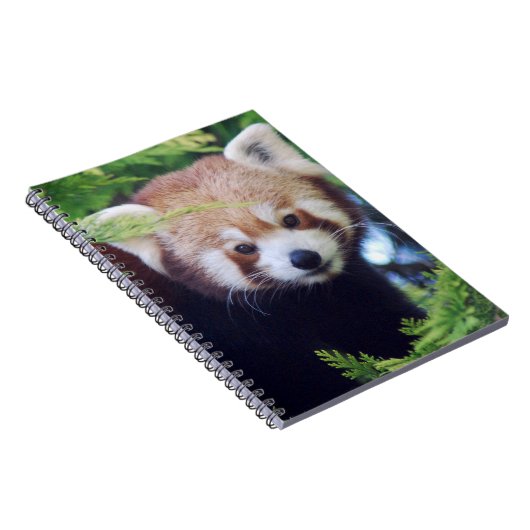 Red Panda Notitieboek (Rechterzijde)