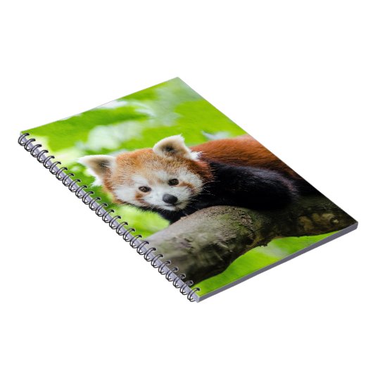 Red Panda Notitieboek (Rechterzijde)