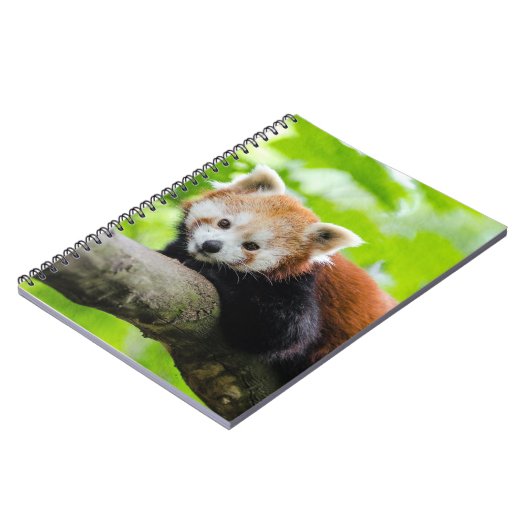 Red Panda Notitieboek (Linkerzijde)