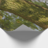 RED PANDA ON GREEN TREE BRANCH CADEAUPAPIER (Hoek)