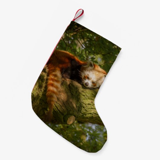 RED PANDA ON GREEN TREE BRANCH KLEINE KERSTSOK (Voorkant (Hangend))