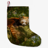 RED PANDA ON GREEN TREE BRANCH KLEINE KERSTSOK (Voorkant)