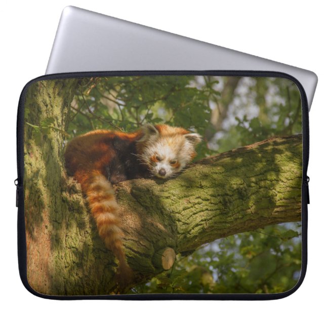 RED PANDA ON GREEN TREE BRANCH LAPTOP SLEEVE (Voorkant)