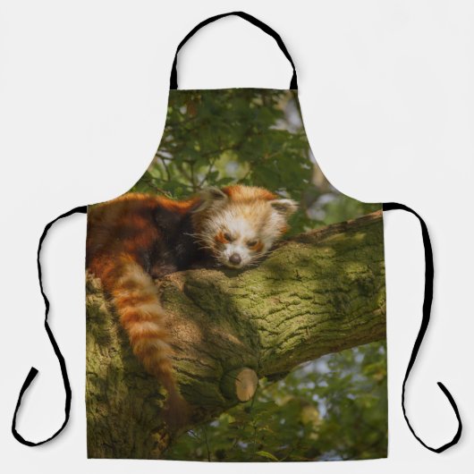 RED PANDA ON GREEN TREE BRANCH SCHORT (Voorkant)