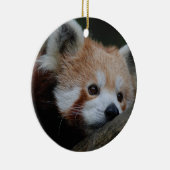 Red Panda Ornament (Rechts)