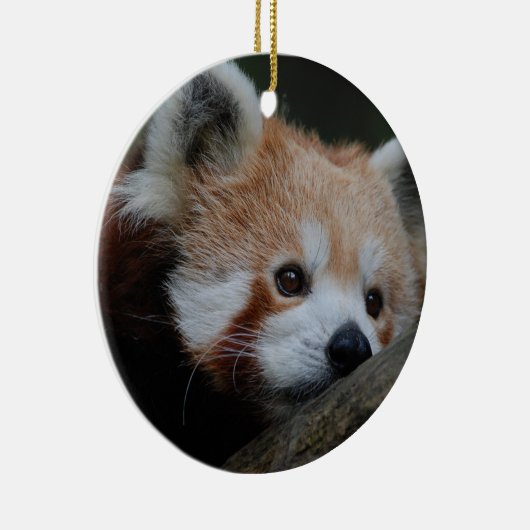 Red Panda Ornament (Rechts)
