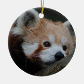 Red Panda Ornament (Voorkant)