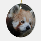 Red Panda Ornament (Links)