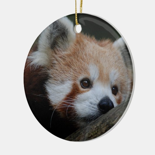 Red Panda Ornament (Links)