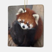 Red Panda Ornament (Links)