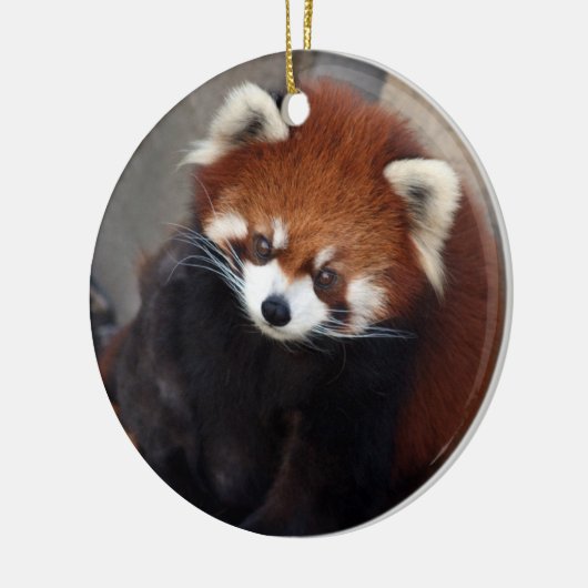 Red Panda Ornament (Links)