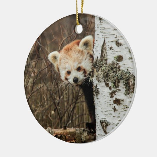 Red Panda Ornament (Links)
