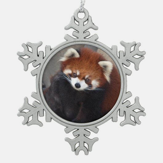 Red Panda Ornament (Voorkant)