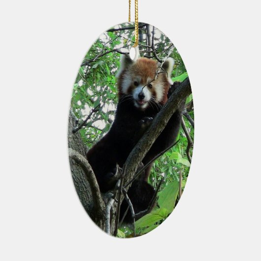 Red Panda Ornament ~ Endangered Species Series (Rechts)