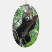 Red Panda Ornament ~ Endangered Species Series (Links)