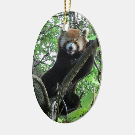 Red Panda Ornament ~ Endangered Species Series (Links)