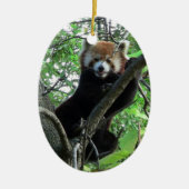 Red Panda Ornament ~ Endangered Species Series (Voorkant)