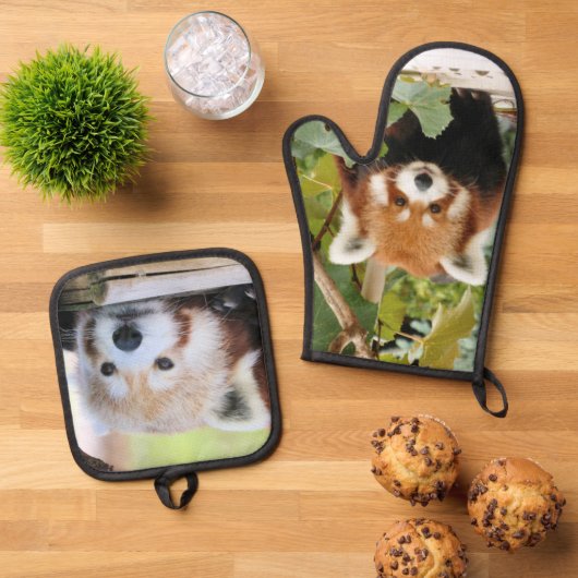 Red Panda Ovenwant & Pannenlap Set (Top down)