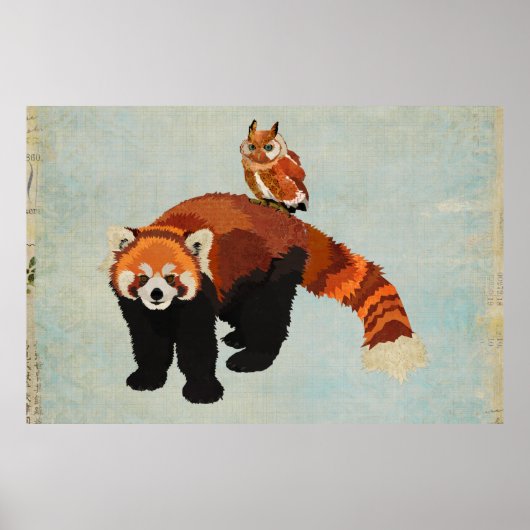 Red Panda & Owl Art Poster (Voorkant)