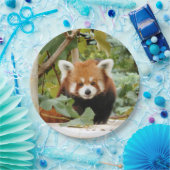 Red Panda Papieren Bordje (Feest)