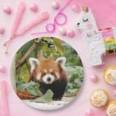 Red Panda Papieren Bordje (Feest)