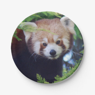 Red Panda Papieren Bordje