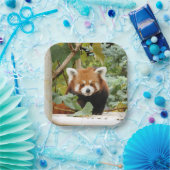 Red Panda Papieren Bordje (Feest)
