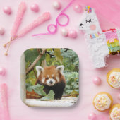 Red Panda Papieren Bordje (Feest)