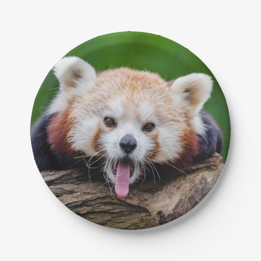 Red Panda Papieren Bordje (Voorkant)