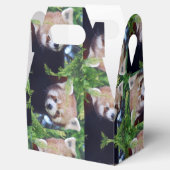 Red Panda Pattern Bedankdoosjes (Geopend)