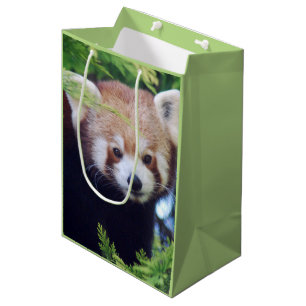 Red Panda Pattern Medium Cadeauzakje