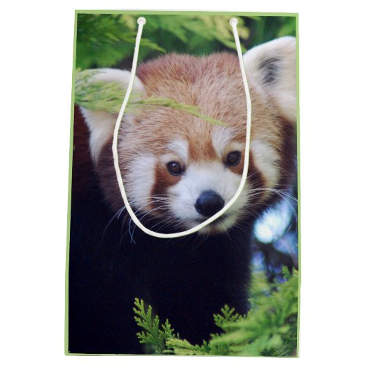 Red Panda Pattern Medium Cadeauzakje (Achterkant)