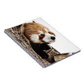 Red Panda Peek-a-Boo Notitieboek (Rechterzijde)